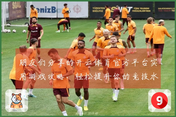 朋友们分享的开云体育官方平台实用游戏攻略，轻松提升你的竞技水平！