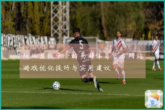 踩坑后我学会的易游体育官方网站游戏优化技巧与实用建议