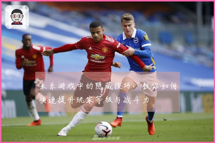 米乐游戏中的隐藏技巧，教你如何快速提升玩家等级与战斗力